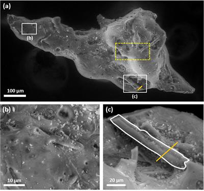 Analysis of External Surface Irregularities on Fukushima-Derived Fallout Particles